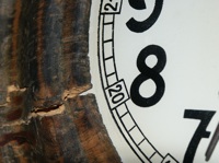clock (photo by robina)