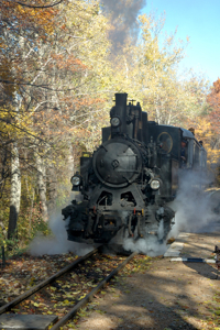steam locomotive (photo by benedeki)