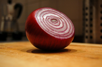 onion class 3 (photo by hedonist)